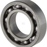 Bearing 6005 C3
