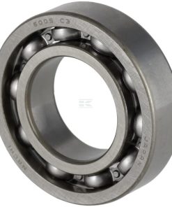 Bearing 6005 C3