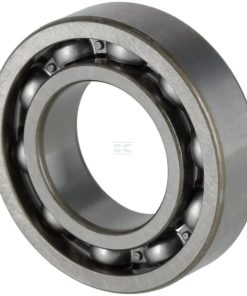 Bearing 6005 C3