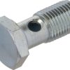 Tornillo hueco Lombardini