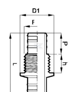 Pasatabique 1