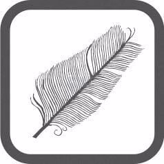 Zuecos Tamaño 7, verde, Bio Lemigo