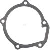 Water Pump Gasket