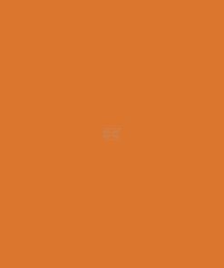 Pintura, naranja amarillento RAL 2000, 1 L