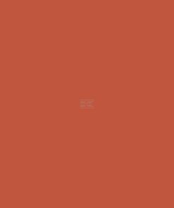 Pintura RAL 2001, rojo anaranjado, 1L, Kramp