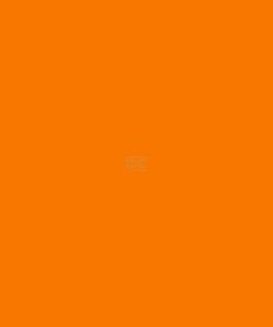 Pintura para AMAZONE, color naranja, 1 L