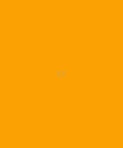 Pintura para FENDT, color naranja, 1 L