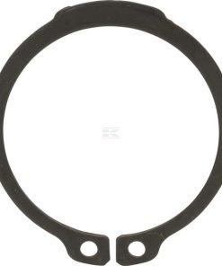 Anillo Seeger