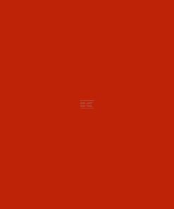 Pintura para MASCHIO, color naranja, 1 L