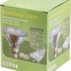 Econ, infrared lamp 100W  transparent