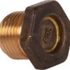 Tapón