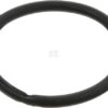 Main bearing ring