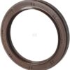Seal BAVISLRDX7 60.3x79.4x9.5 FPM