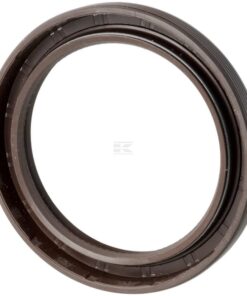 Seal BAVISLRDX7 60.3x79.4x9.5 FPM