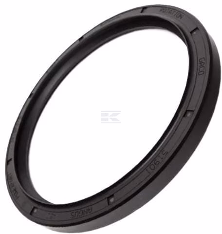 Retén trasero motor, 3 cilindros 3 Anillo de estanqueidad para motor, trasero, 3 cilindros
