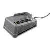 Cargador rápido Battery Power+ 36V