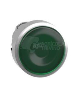 Pulsador iluminado verde