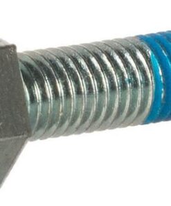 Screw