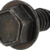 Screw.25-20 s-t