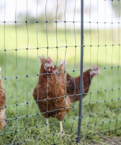 Poultry E-net 106cm 25m DP green 14 Poultry E-net 106cm 25m DP green