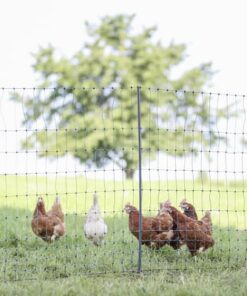 Poultry E-net 122cm 50m SP green
