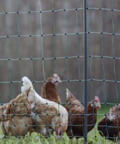 Poultry E-net 106cm 25m DP green 16 Poultry E-net 106cm 25m DP green