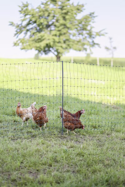 Poultry E-net 106cm 25m DP green 9 Poultry E-net 106cm 25m DP green