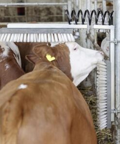 Cattle brush Texas, complete 6 Cattle brush Texas, complete