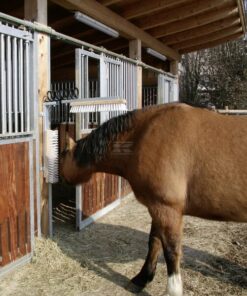 Cattle brush Texas, complete 9 Cattle brush Texas, complete