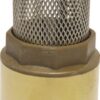 Bottom valve 1" thread