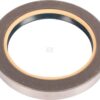 Oil seal