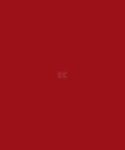 Pintura para VSS AMAC, desde 1992, rojo, 1L
