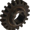 Rueda engranaje