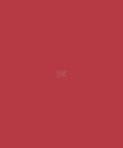 Pintura para CASE-IH año 1998, color rojo, 1 L