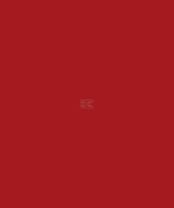 Pintura para FENDT, color rojo, aerosol 400 ml