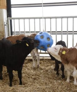 Bola de juego para alimentar caballos, azul