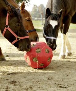 Bola de juego para alimentar caballos, rojo