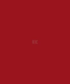 Pintura para HOLDER, color rojo, 1L
