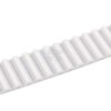 Correa dent. con fin T10 -32mm