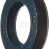 Seal BAUD1 20x35x7 73NBR