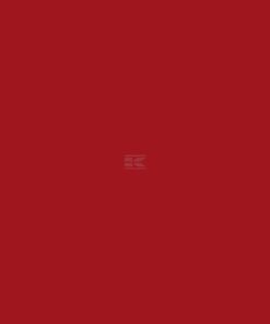 Pintura para VICON, color rojo, 1 L
