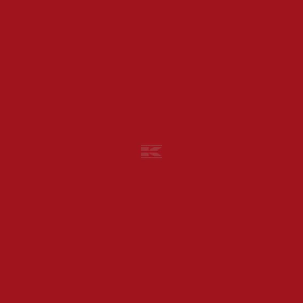 Pintura para WEIDEMANN, desde 2004, rojo, 1L 2 Pintura para WEIDEMANN, desde 2004, rojo, 1L