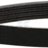 Correa trapezoidal