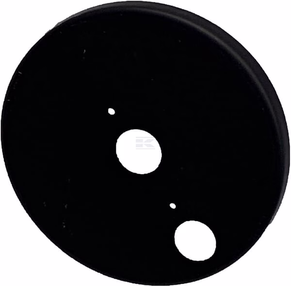 Placa del rotor 1 Placa del rotor