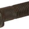 Tornillo