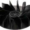Worm Wheel