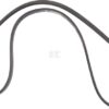 Correa trapezoidal