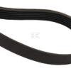 Correa trapezoidal