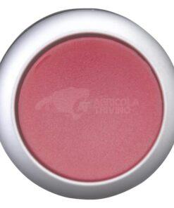 Pulsador iluminado rojo