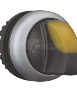 Selector iluminado amarillo